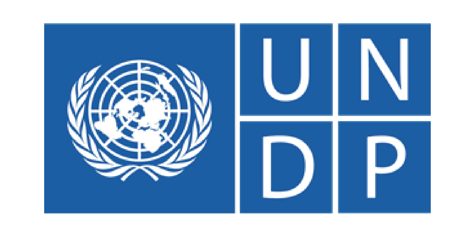UNDP